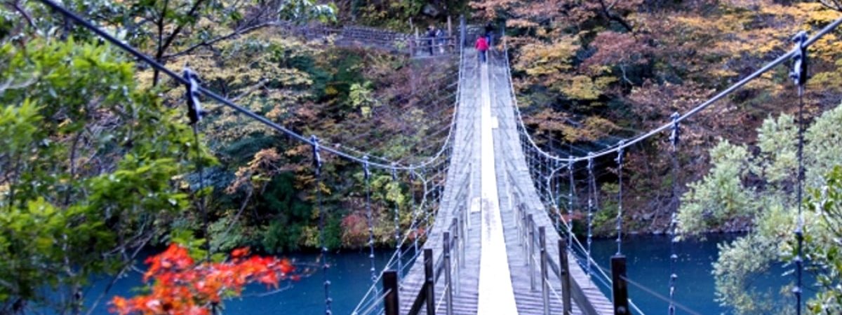 寸又峡夢の吊り橋画像