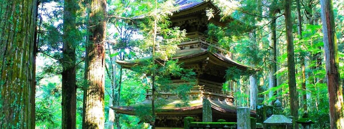 光前寺_cover_light