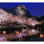 御船山楽園（佐賀）で出会う紅葉の夜と朝！春の夜桜や最高なツツジも見どころ！