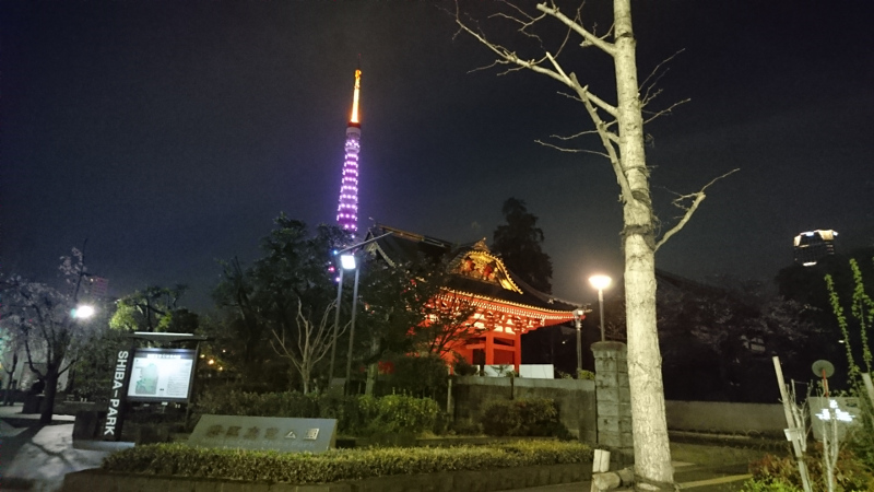 東京タワーと増上寺画像