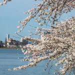 鳥屋野潟公園は桜も紅葉もばっちりの野鳥さえずる森！