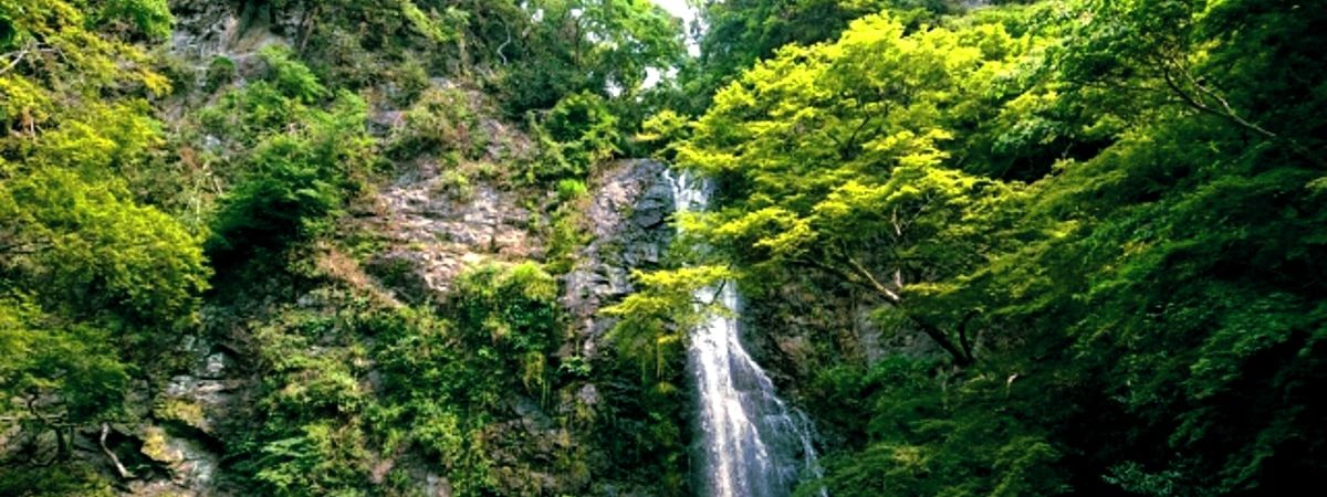 箕面大滝画像