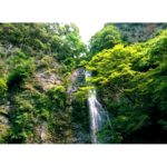 大阪府 箕面公園の滝と自然は年中無休！！