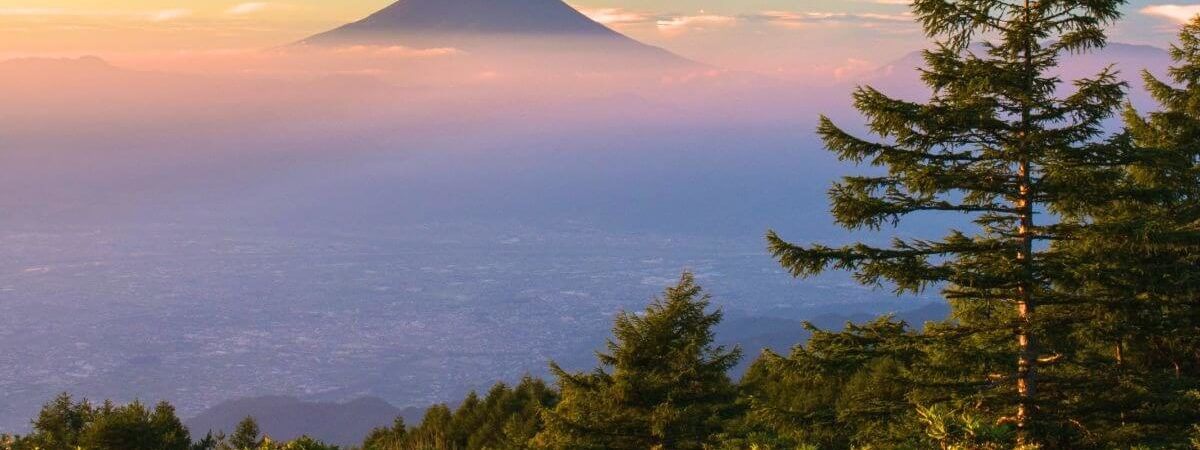 甘利山_cover_light