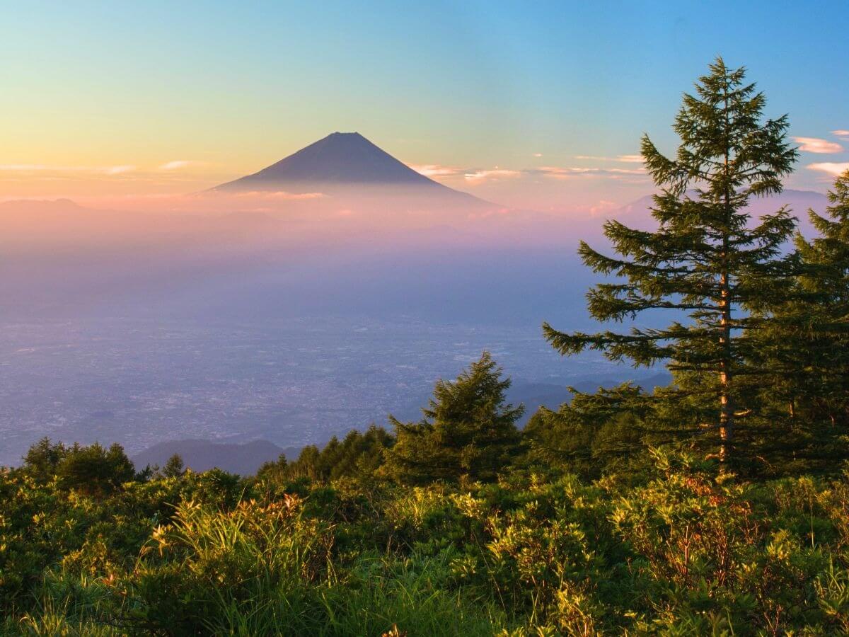 山梨 甘利山で楽しむツツジ 雲海 日帰り登山 アクセス情報も紹介 Amatavi