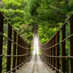 熊本 八代観光は五家荘で渡るドキドキの吊り橋！新緑・紅葉・キャンプも最高