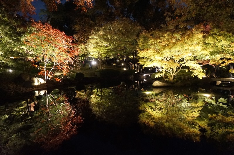 大田黒公園_2018年11月23日_006