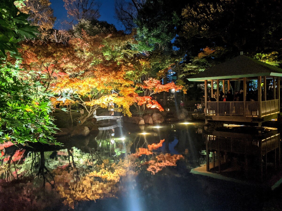 年版 大田黒公園の紅葉ライトアップ情報と見所を解説 Amatavi