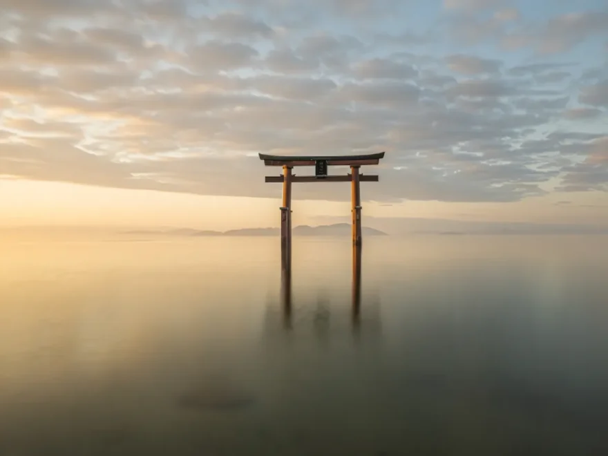 白鬚神社-cover