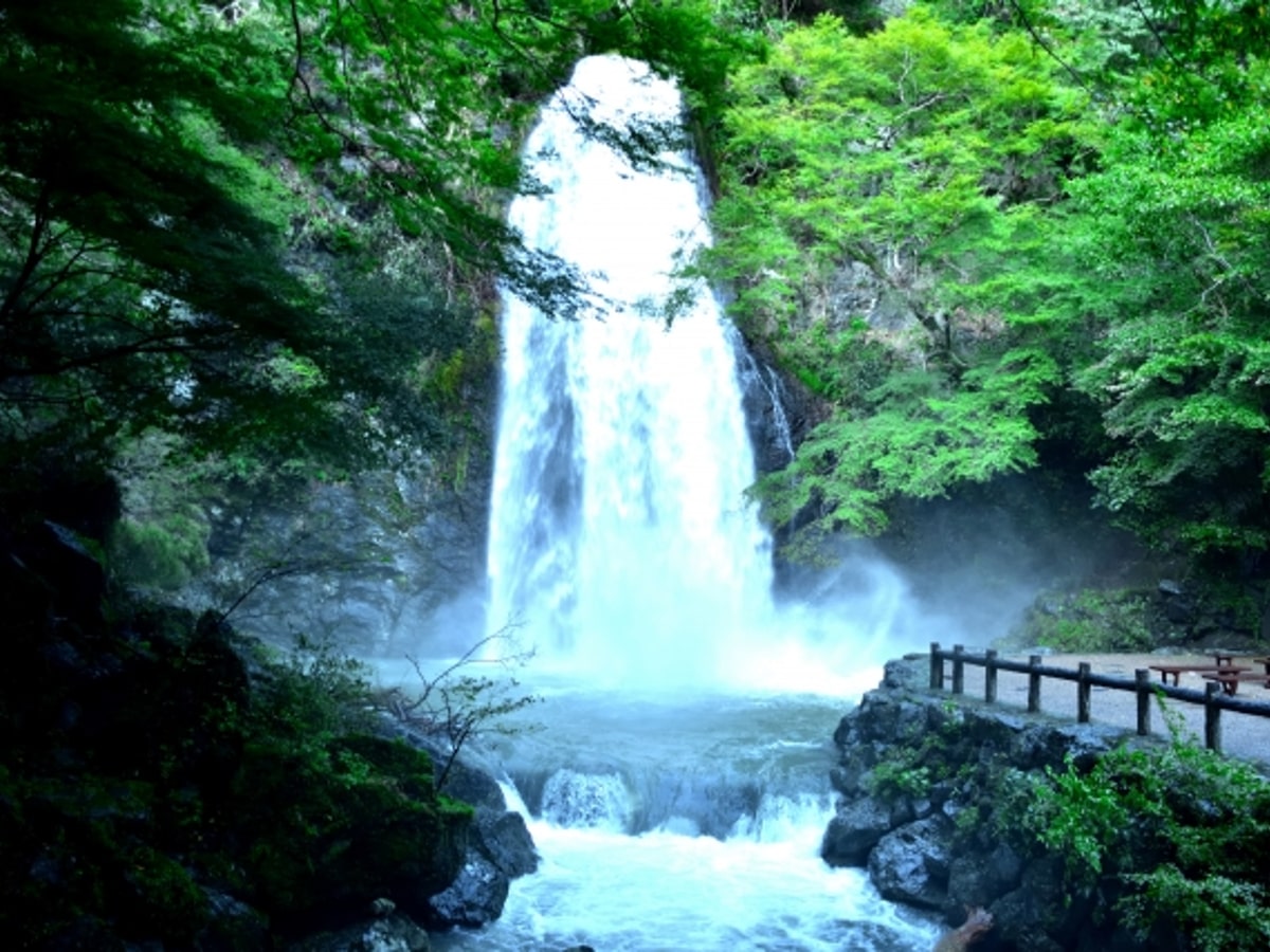 箕面は梅田からも至近 自然 夜景 ライトアップも楽しめる Amatavi