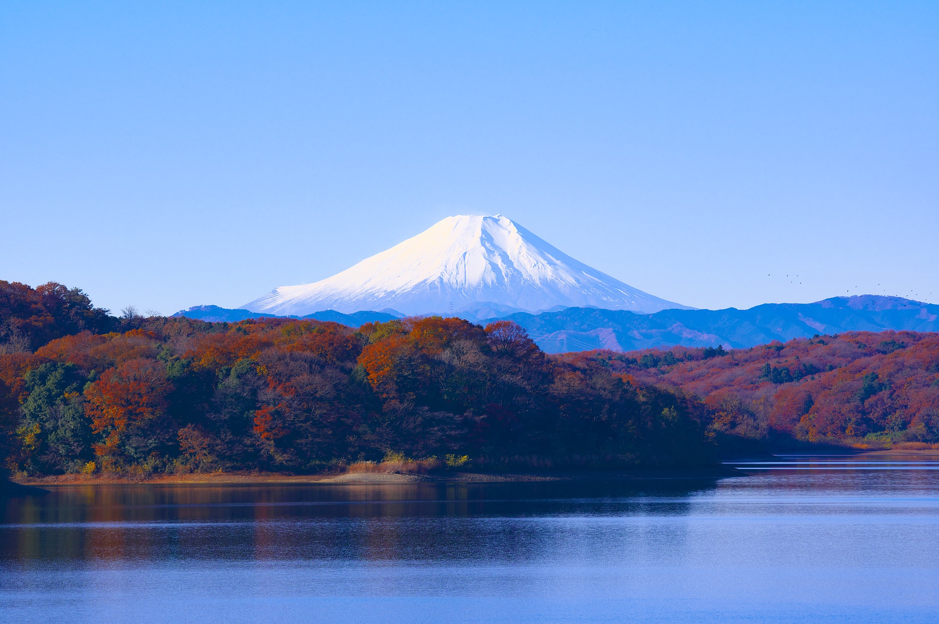 都心から1時間圏内 埼玉県所沢市は自然 レジャースポットの宝庫 Amatavi