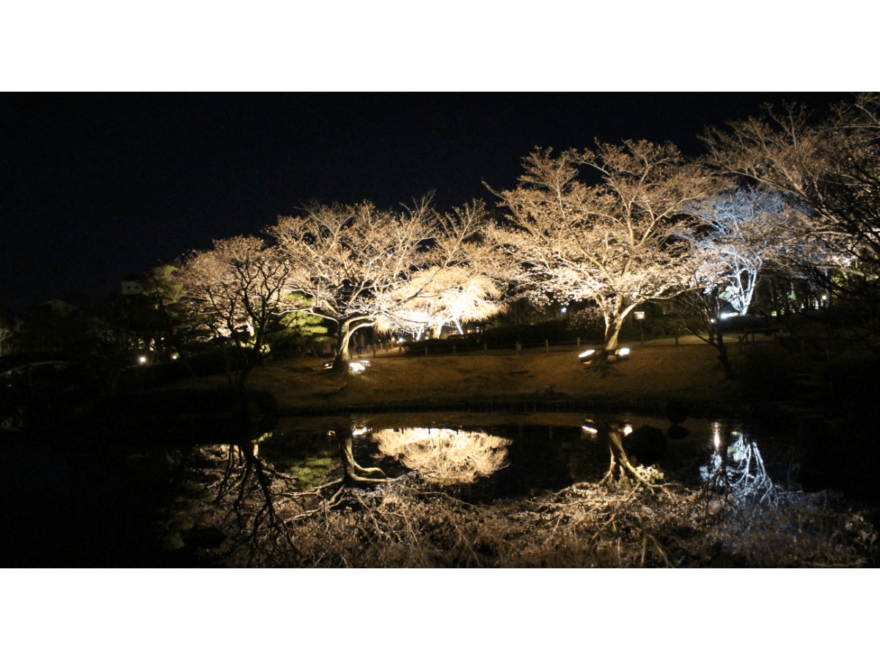 しあわせの村（兵庫） | 2023年桜祭り・夜桜ライトアップ・見頃情報