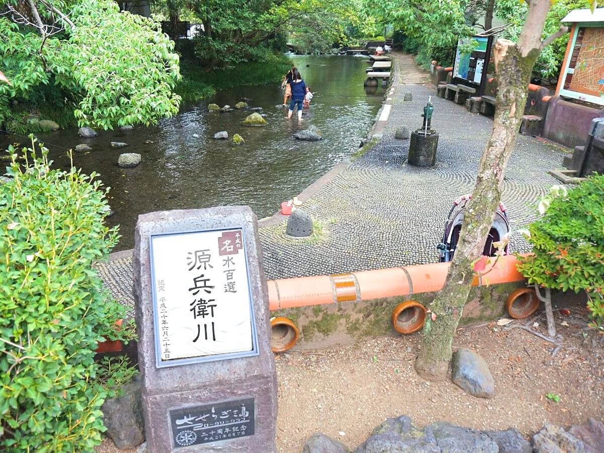 三島を散策 源兵衛川 柿田川の清流スポットを巡る癒しの観光 Amatavi