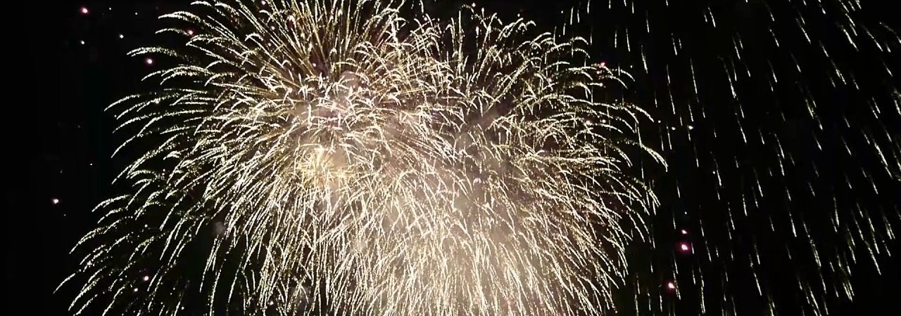 第24回 あげお花火大会