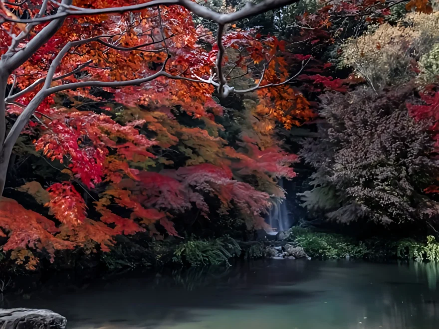 万博記念公園（大阪） | 2024年紅葉まつり・見頃情報