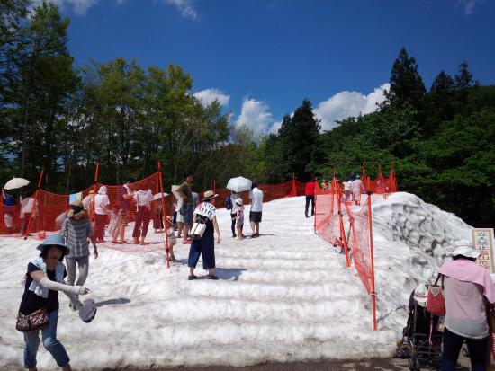 変更 うおぬま夏の雪まつり 新潟 21年地域まつりイベント開催情報 Amatavi