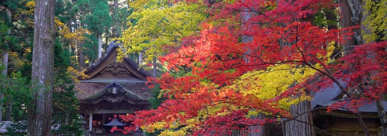 光前寺（長野） | 2018年紅葉ライトアップ情報