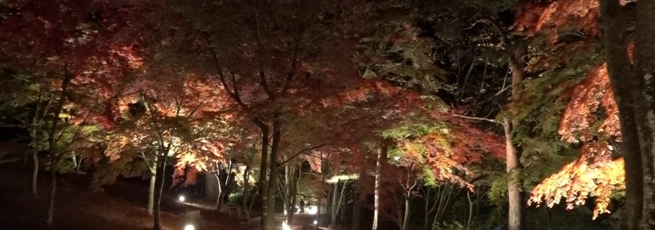修善寺 虹の郷（静岡） | 2018年紅葉ライトアップ情報