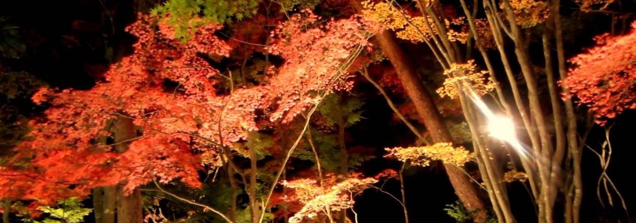 松雲山荘（新潟） 紅葉ライトアップ・見頃情報