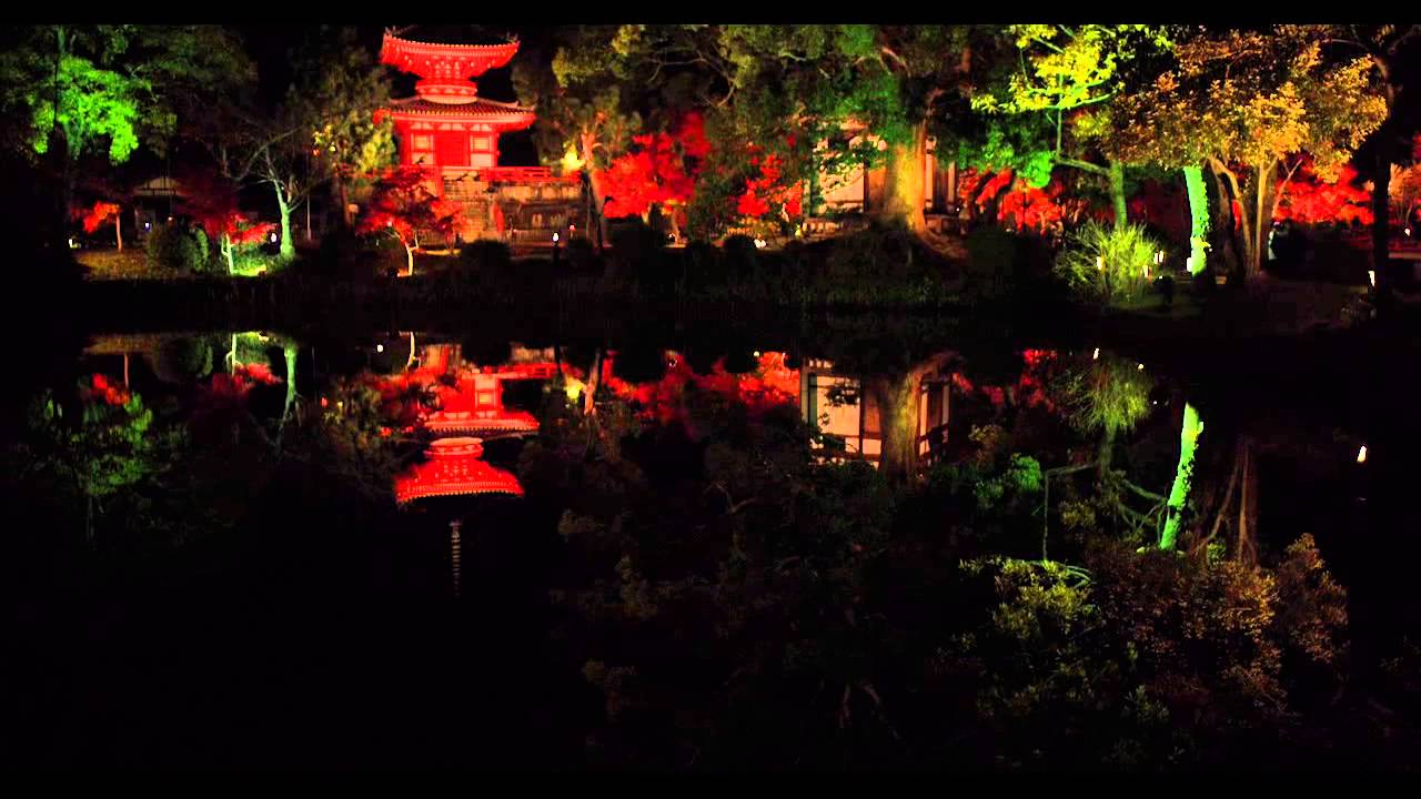 大覚寺（京都）  2020年紅葉ライトアップ・見頃情報 - amAtavi