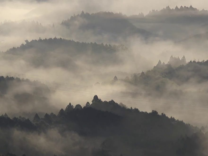 奈良県の穴場雲海スポット 鳥見山公園 での発生条件や時期を紹介 Amatavi