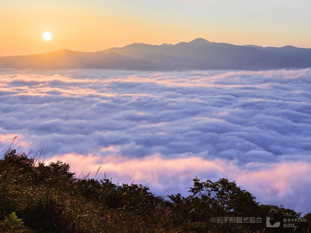雲海画像 – 雲海出現マップ – VAAA