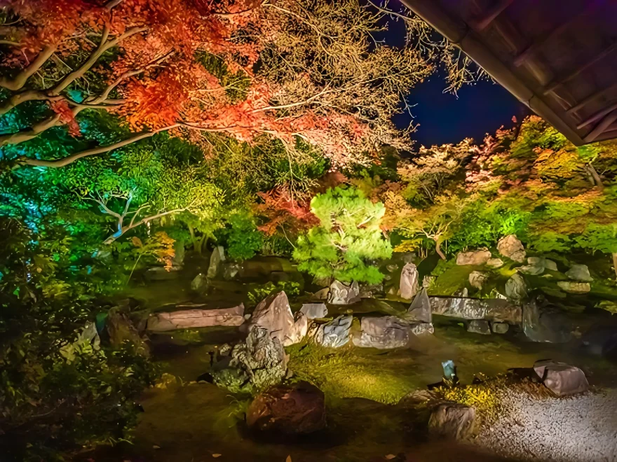 高台寺・圓徳院（京都） | 2024年紅葉ライトアップ・見頃情報