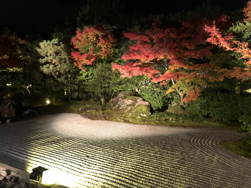 高台寺・圓徳院（京都） | 2025年紅葉ライトアップ・見頃情報