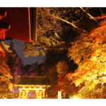日光の社寺（栃木） | 2023年紅葉ライトアップ・見頃情報
