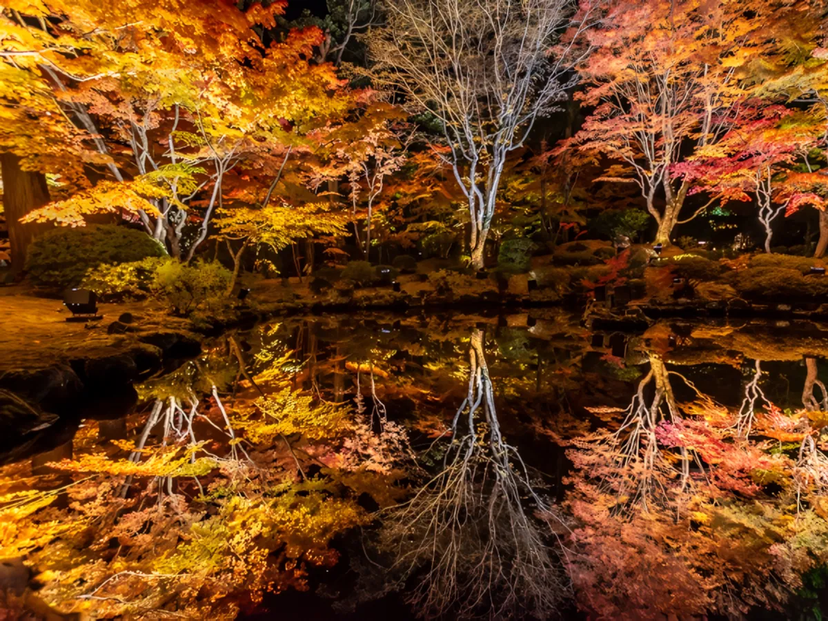 円通院（宮城） | 2025年紅葉ライトアップ・見頃情報