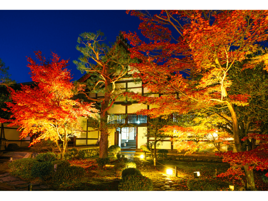 鹿王院（京都） | 2023年紅葉ライトアップ・見頃情報