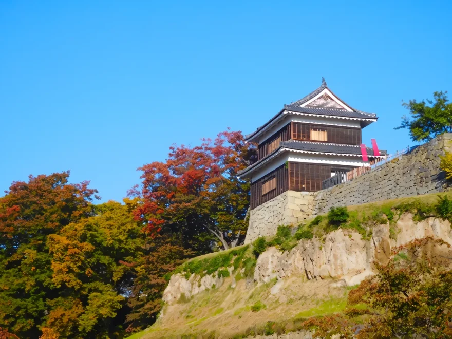 上田城跡公園けやき並木（長野） | 2025年紅葉ライトアップ・見頃情報