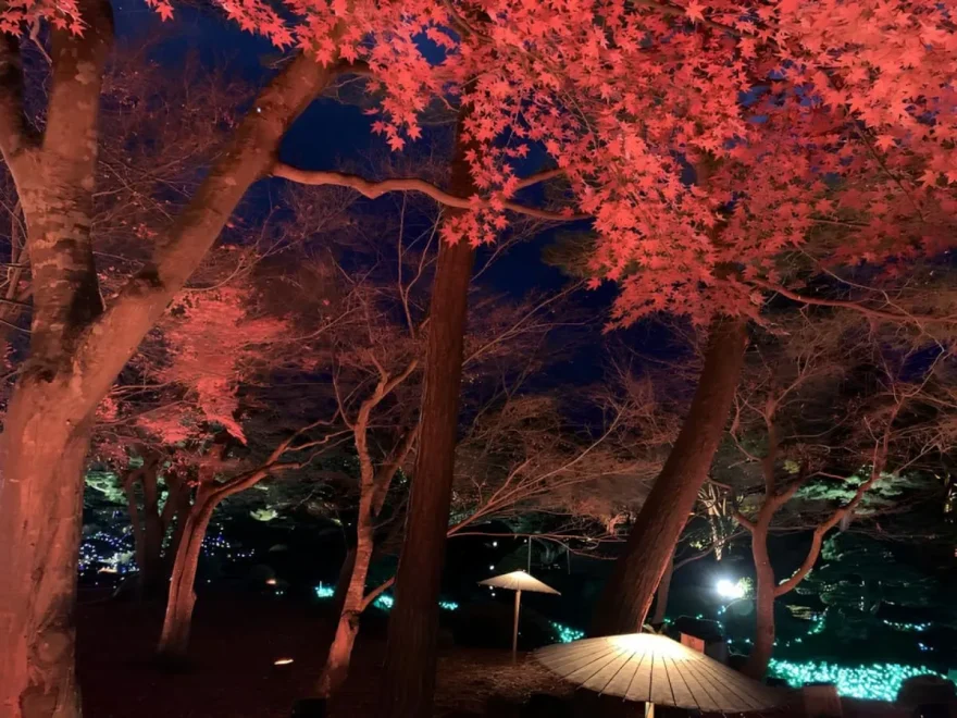 由志園（島根） | 2025年紅葉ライトアップ・見頃情報