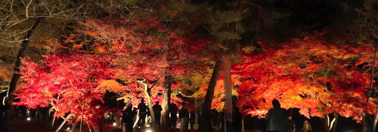 長瀞周辺（埼玉） | 2018年紅葉ライトアップ情報