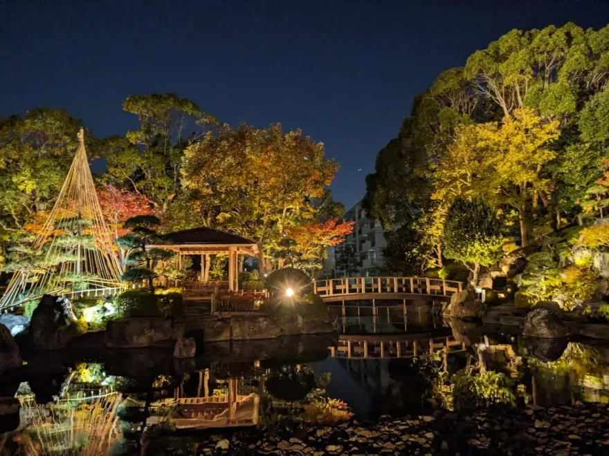 足立区花畑記念庭園（東京） | 2024年紅葉ライトアップ・見頃情報