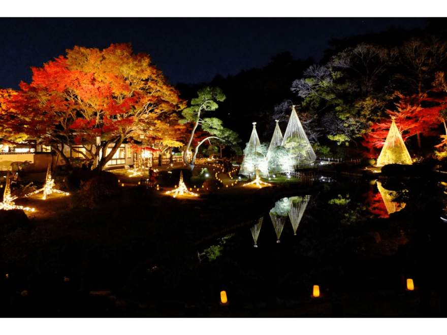 肥後細川庭園（東京） | 2023年紅葉ライトアップ・見頃情報
