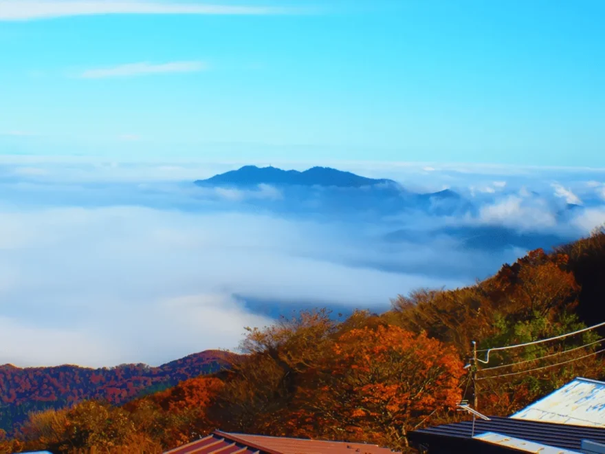 筑波山ケーブルカー（茨城） | 2025年紅葉ライトアップ・見頃情報