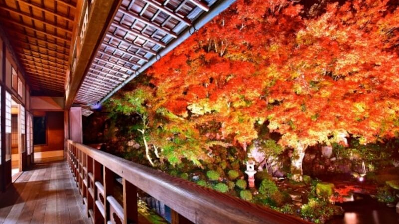 堀庭園（島根） | 2023年紅葉ライトアップ・見頃情報