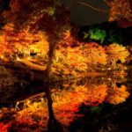 縮景園（広島） | 2023年紅葉ライトアップ・見頃情報