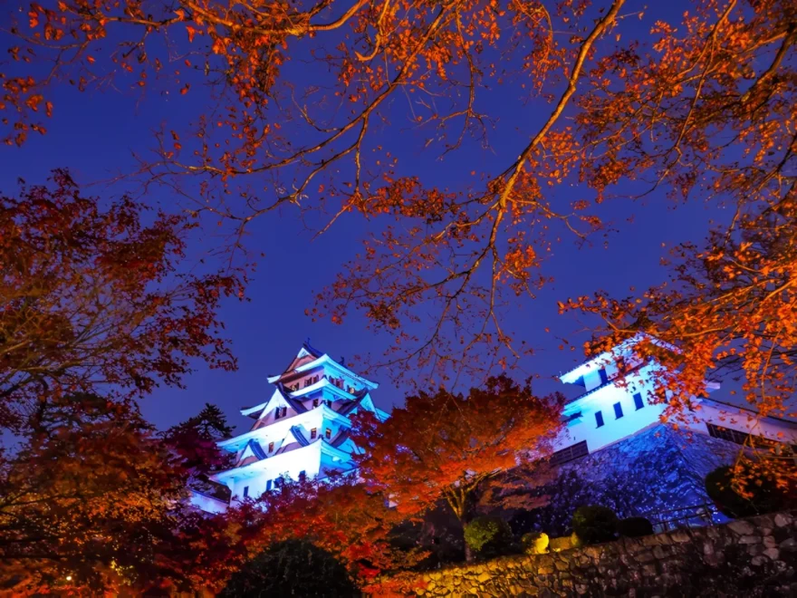 郡上八幡城(岐阜) | 2025年紅葉ライトアップ・見頃情報