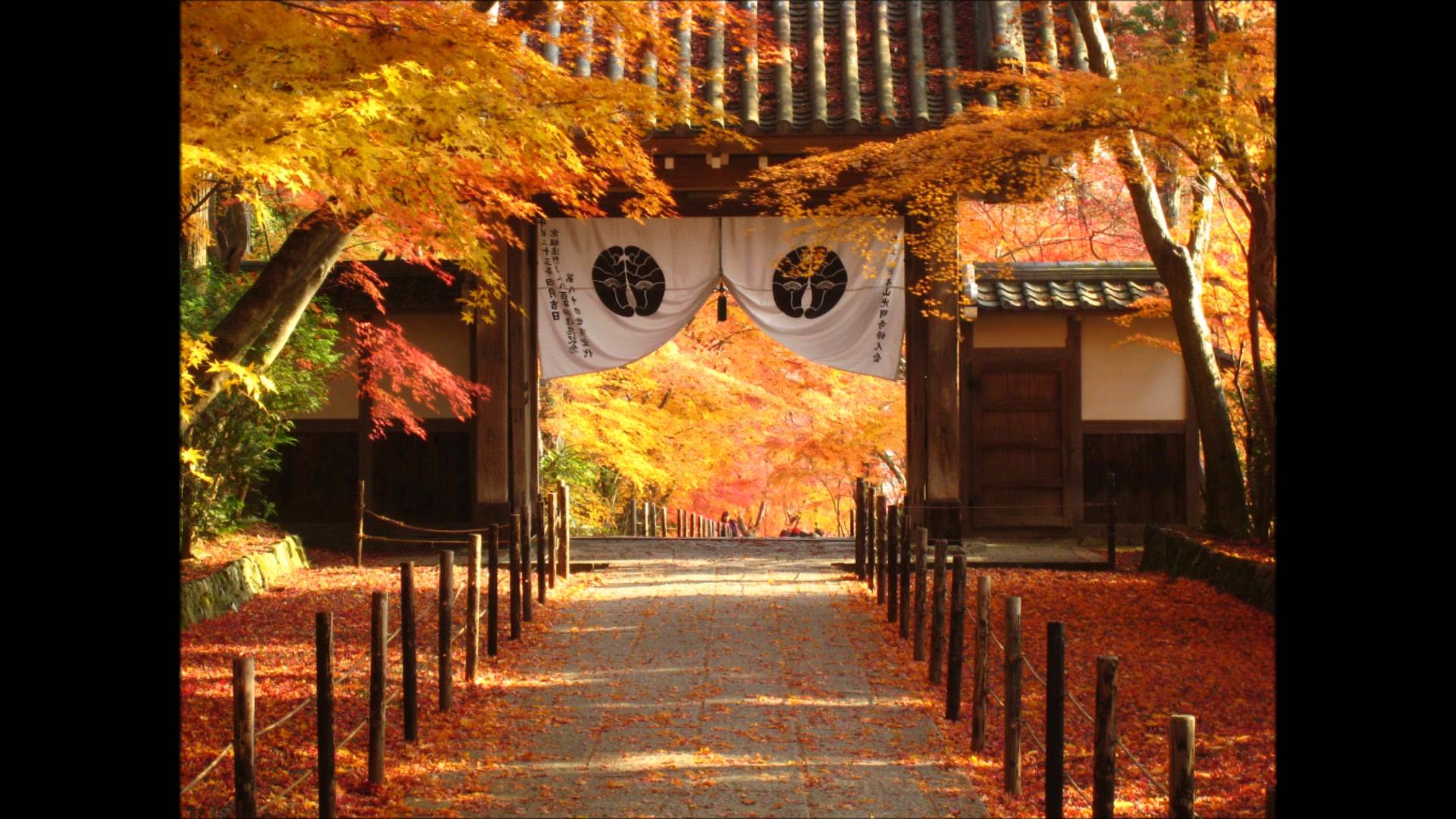 長岡天満宮 錦景苑 京都 22年紅葉ライトアップ 見頃情報 Amatavi