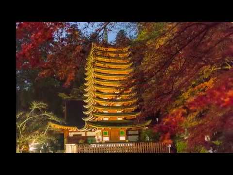 談山神社（奈良） | 2018年紅葉ライトアップ情報