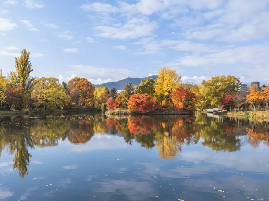 中島公園（北海道） | 2025年紅葉ライトアップ・見頃情報