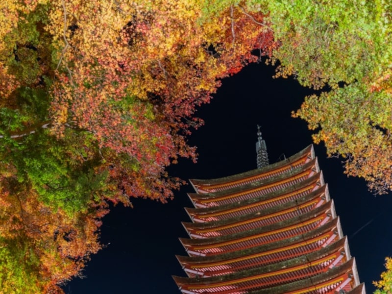 談山神社（奈良） | 2023年紅葉ライトアップ・見頃情報