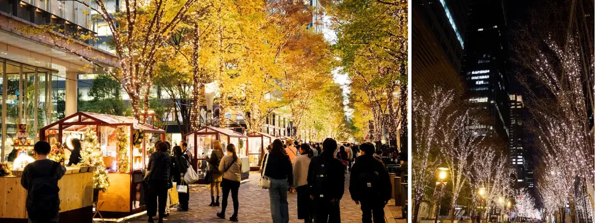 丸の内仲通り、東京駅周辺、大手町仲通り（東京） | 2024年イルミネーション・ライトアップ情報