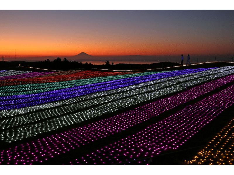 マザー牧場（千葉） | 2023年イルミネーション・ライトアップ情報
