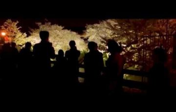 琵琶湖疏水（滋賀） | 2019年夜桜ライトアップ・見頃情報