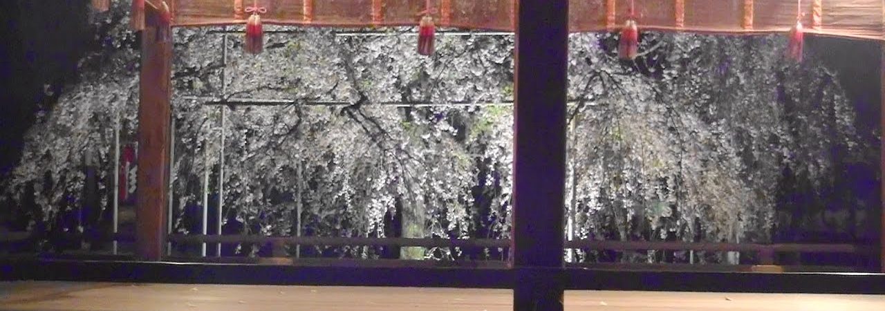 平野神社（京都） | 2019年夜桜ライトアップ・見頃情報