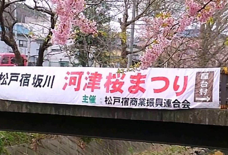 中止 茂原公園 千葉 21年桜祭り 夜桜ライトアップ 見頃情報 Amatavi