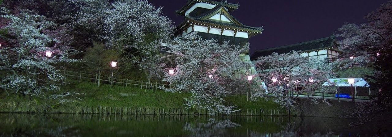 郡山城跡（奈良） | 2019年夜桜ライトアップ・見頃情報